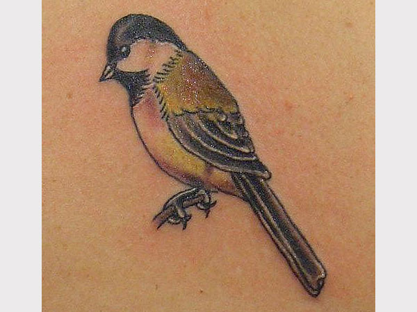 Sitting Tattoo Bird